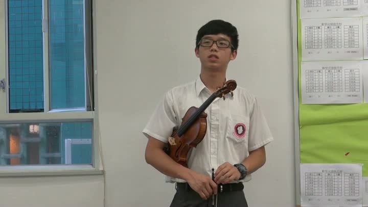The experience of violin learning